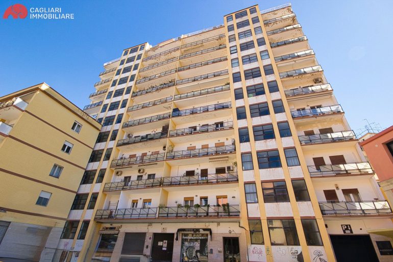 WhatsApp Image 2026-02-24 at 14.56.31