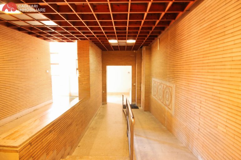 WhatsApp Image 2026-02-24 at 14.56.32 (3)