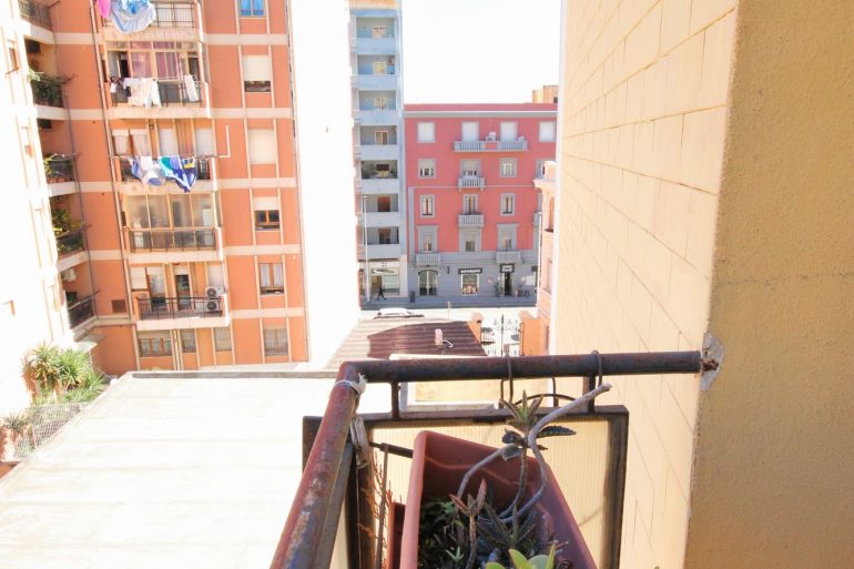 WhatsApp Image 2026-02-24 at 14.56.33 (5)